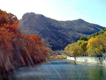 澳门天天彩期期精准平肖，博野seo程序